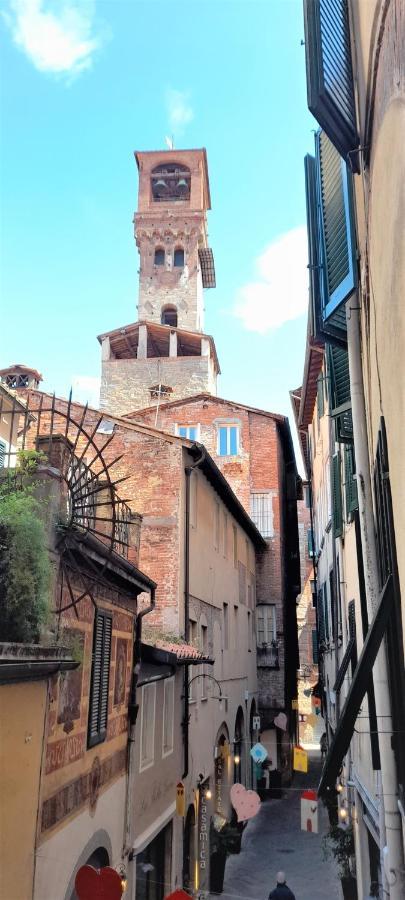 & In Center - * Lucca