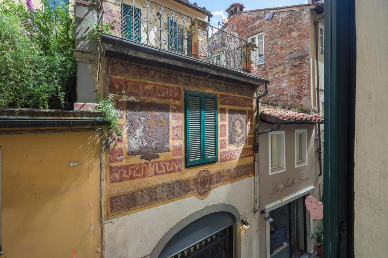 & In Center - Apartment Lucca