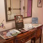 Apartment & Rooms In Lucca Center -